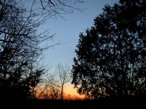 Photo of the eastern horizon just before sunrise as seen through a clearing in the woods. The trees are dark silhouettes. The horizon is beginning to glow yellow and orange.