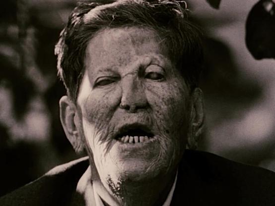 L'Ordre est un documentaire réalisé par Jean-Daniel Pollet en 1973, qui se penche sur la vie des lépreux confinés sur l'île de Spinalonga en Grèce. Le sociologue Maurice Born, après avoir étudié les lépreux pendant deux ans, décide de filmer sur cette île historique, qui a servi de léproserie de 1904 à 1957. Spinalonga, un îlot relié à la Crète par une digue, abritait jusqu'à 400 lépreux qui y vivaient en relative autonomie. La communauté, coupée du monde, a appris à supporter l'abandon et la stigmatisation, mais il était difficile pour eux de réintégrer la société après leur guérison.

Le film se concentre sur l'expérience des survivants, en particulier d'Epaminondas Remoundakis, un homme devenu lépreux, qui a vécu sur l'île pendant 36 ans. Il devient un porte-parole des lépreux, racontant leurs souffrances et leur résilience. Un livre, Vies et morts d’un Crétois lépreux (2015), témoigne de son vécu.