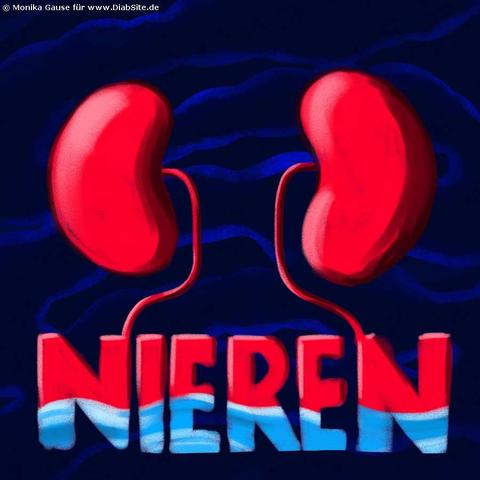 Nieren und Diabetes