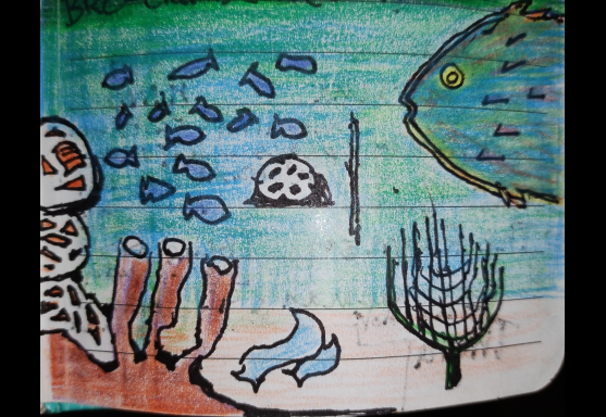 A photograph of a drawn underwater scene.