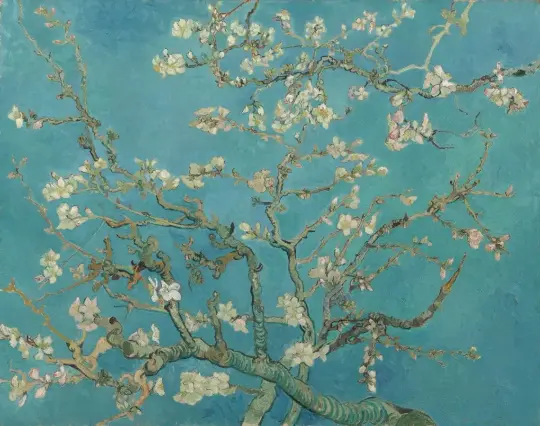 Almond blossoms on light blue background.

"It is as if you are lying on your back on the grass, looking up at the branches above you, so that you can no longer see the entire tree."