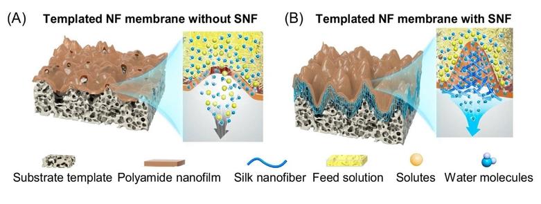 Water and innovation: nanofiltration with silk membranes
“Silk-based ultra-permeable membranes may offer close to 80% reduction in specific energy consumption”.