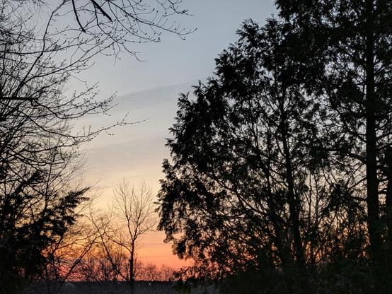 Photo of the eastern horizon glowing pink and orange as seen through a clearing in the woods. The trees are dark silhouettes.