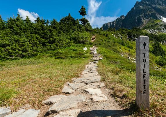 Bildbeschreibung bidok LeseZeichen (Heft 25) Titelbild: Ein Wegweiser aus Holz. Es steht das Wort „Toilette“ darauf geschrieben. Außerdem ein Pfeil der einen schmalen, steilen Weg Richtung eines Berg-Gipfels hinaufweist. Es symbolisiert den häufig schwierigen Weg eine barrierefreie öffentliche Toilette zu finden. 