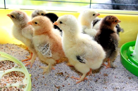 | re
TTT
ad. - CP ——
NS aac. Cu gre
"g p
gs JS LS
oof x
0 - ut ~ >. \
“Nj $ Pp
$s : |
bY
Z. = P
/ i
. / Mord ew - WV
Hi Ton, p- KA wR
y et 2, PY Bt yg Bh Fy
- 5 AN is & ™
> Ze 7% \ Al } Moi. 3 Fn \ \
. ~ a Aas i Re . A ,
. : _ —— a 2 ’ a E> Ne.
77 rR 0g S
5 gre Sa “ OX; «a pr il -» Ja
SSF As TT ae TE. ON
2 5 Faas LO ES Wo ne * " 20s ~ : a,
0 2 ae Fel. ; i AEA NS
LO EA \ N, a» hd A 28 Bas Sid ry E 0% Moll RL 1 VE |
Gc or PAL BTA ho ee Bo ls ee Auk = wo FE Pai -
Ay | ery SUS IE tea) | nT pth rEg
- por FLT RE ee SON RICE SRNR
. 7 3 on rR : Se hes Sg = ps ERT RT = = Te Bil ; 2 —
— 5 Pa Jonas EE TR REE Se SOE
an Pp: $0 SCT rE I a ge RENE SE SG 2028 EEE
E Fa “- ER Bn EL NH ie CERISE Te el PK RY TRG S REE S TARE NR