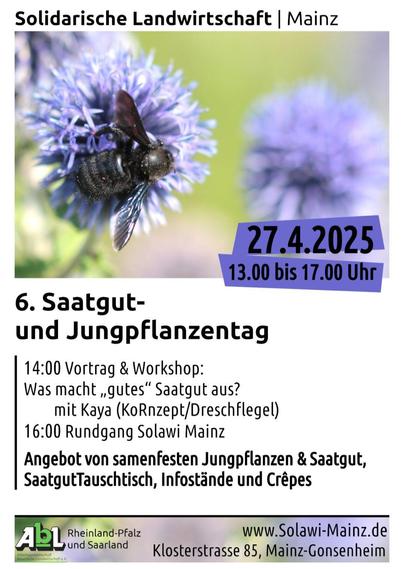 Flyer zum 6. Saatgut- und Jungpflanzentah der Solawi Mainz am 27.04.2025, 13.00-17.00 Uhr.
Im Hintergrund sind schwarze Holzbiene auf einer Kugeldistelblüte.