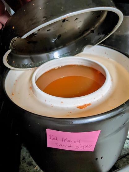 Traditional style fermentation crock with carrots and ginger inside below an orange-tinted brine.