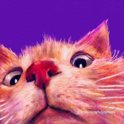 Painting of an orange cat peeking at the viewer curiously. The artist's signature and @joyousjoyfuljoyness watermark are at the bottom right.