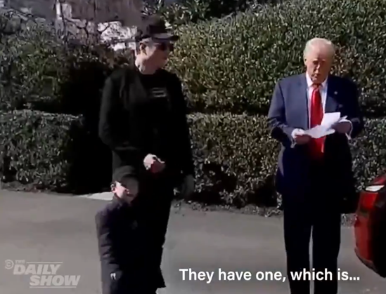 Elon Musk, looking more vampiric than usual, his poor cursed child, and another 3 year old, Donald Trump 

There's a Daily Show logo on the bottom left and Trump, the used car salesman is subtitled as saying "they have one, which is..." 