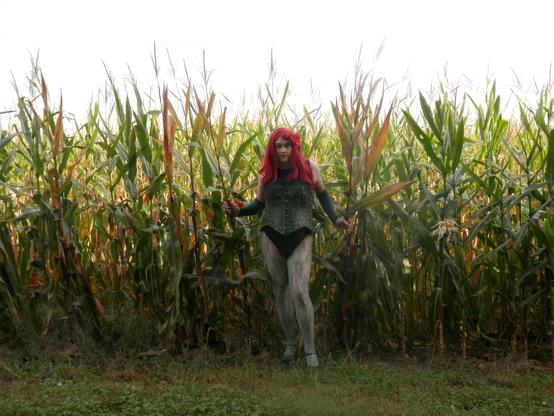 Poison Ivy "Out In The Field"