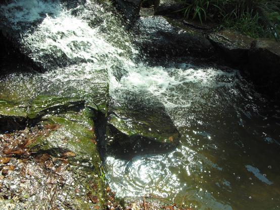 Le bas d'une cascade d'un jardin public typé japonais