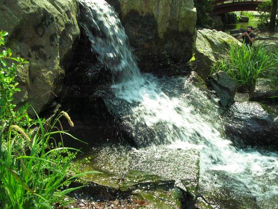 La cascade d'un cours d'eau dans un jardin public typé japonais