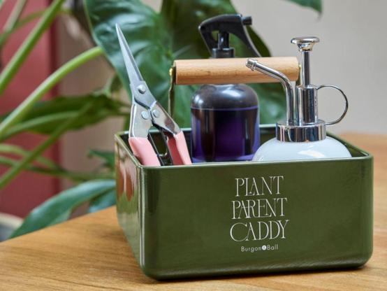 The Collection from Burgon & Ball - green plant tool caddy