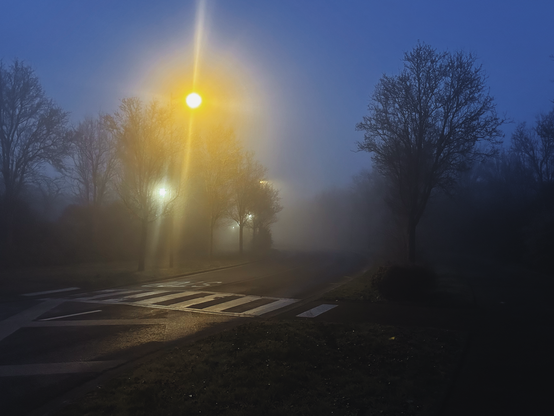 Foggy early morning