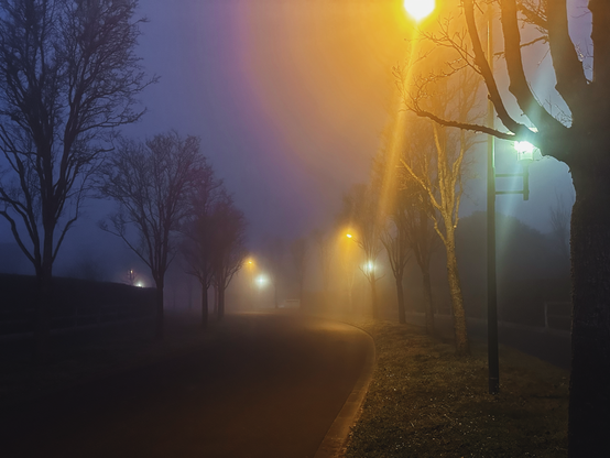 Foggy early morning