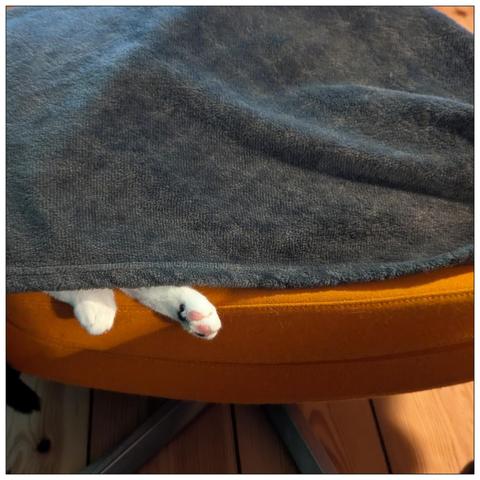 An orange footstool and a grey fleece blanket, two white cat feet sticking out from under the blanket.