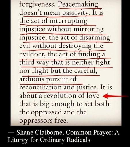 Peacemaking doesn’t mean passivity. It is the act of interrupting injustice without mirroring injustice, the act of disarmingevil without destroying the
evildoer, the act of finding a third way that is neither fight nor flight but the careful, arduous pursuit of reconciliation and justice. It is about a revolution of Love that is big enough to set both the oppressed and the oppressors free.
— Shane Claiborne, Common Prayer: A Liturgy for Ordinary Radicals
