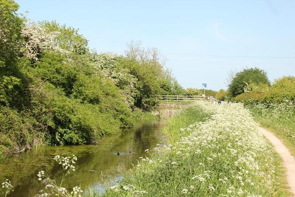 A photo titled "IMG_6531", taken near Bridge 6a - Lings Bar Bridge by Matthew Black on Flickr.