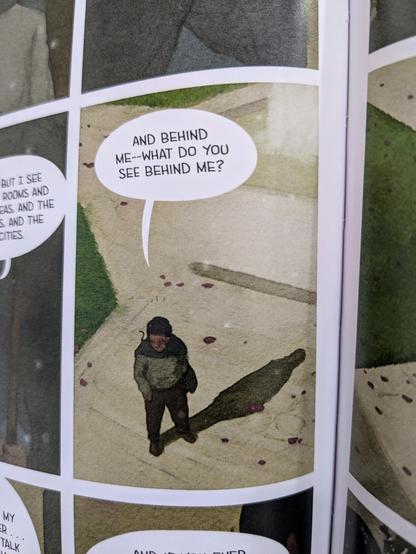 A panel from the graphic novel depicting the protagonist saying, "And behind me — what do you see behind me?" with his shadow being cast behind him.