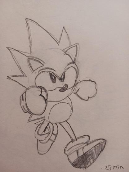© SEGA. SEGA, the SEGA logo and SONIC THE HEDGEHOG are either registered trademarks or trademarks of SEGA Holdings Co., Ltd. or its affiliates. All rights reserved. SEGA is registered in the U.S. Patent and Trademark Office. All other trademarks, logos and copyrights are property of their respective owners.