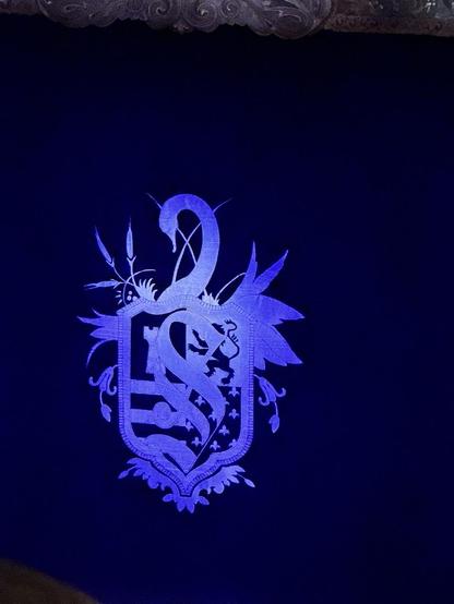 Swan Lake logo on the stage curtain