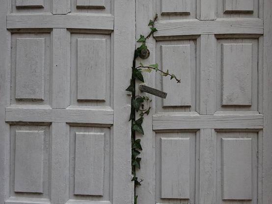 du lierre qui sort d'une porte fermée