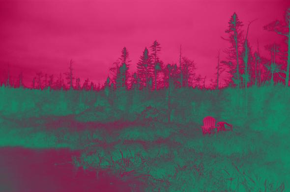 Two chairs in a pink and green duo-tone bog forest.  On certain days, this is how it looks in my head.