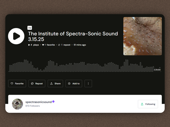 The Institute of Spectra-Sonic Sound 3.15.25

A weekly show featuring the latest in sound art, dark ambient, experimental, drone, noise, and musique concrete.