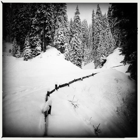 Il sentiero innevato che sale nel bosco e uno steccato in legno quasi totalmente ricoperto di neve