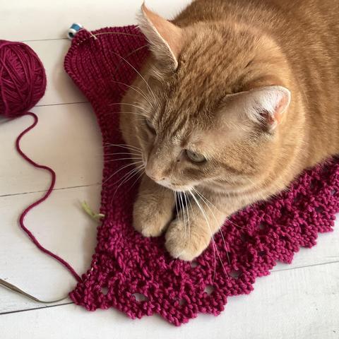 Angled view of a ball of dark pink yarn, and a knitting project featuring garter stitch and lace on a circular needle. It's shown on a white plank background. A large red cat has positioned himself right on top of the work in progress.