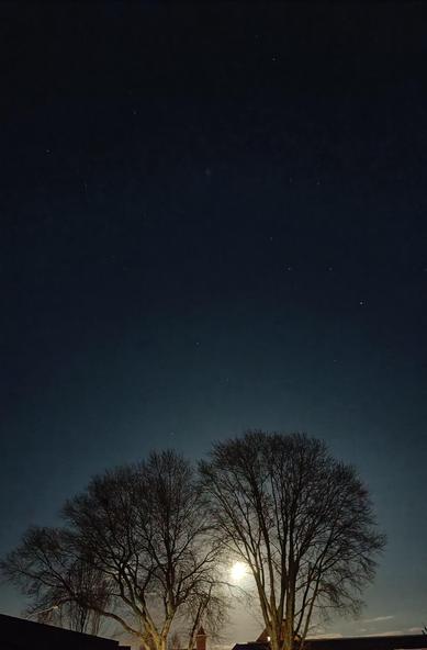 Full sofwhite moon behind two big bareleafed trees. A little tower is just visible at the skyline. 
Twothirds of photo are dark blueblack sky with white pinpricks of stars
