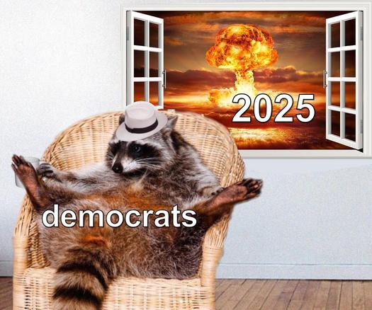 Raccoon chillin’ (Democrats) in the mist of Armageddon (2025)