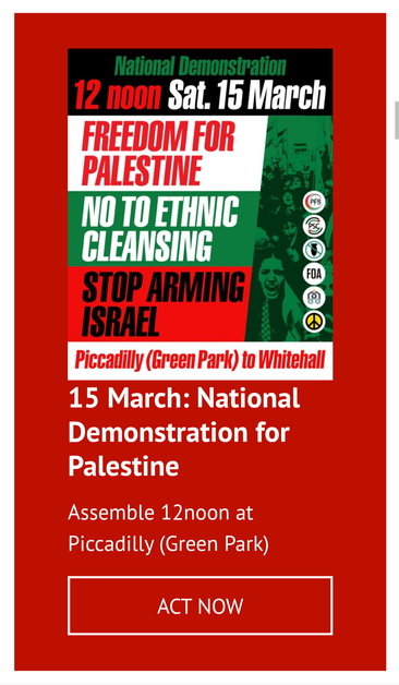 Flyer
National Demonstration 
12 noon - Sat. 15 March
FREEDOM FOR PALESTINE 
NO TO ETHNIC CLEANSING 
STOP ARMING ISRAEL 
Piccadilly (Green Park) to Whitehall