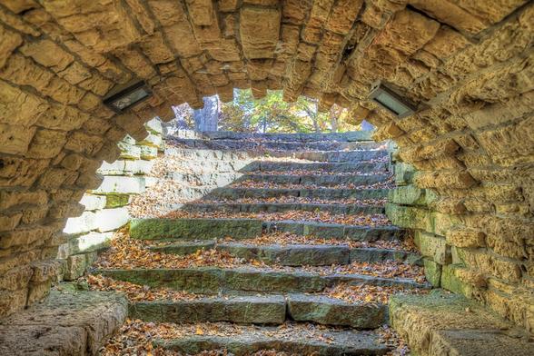 An old stone archway reveals a set of worn, leaf-covered steps leading upwards to bright daylight.