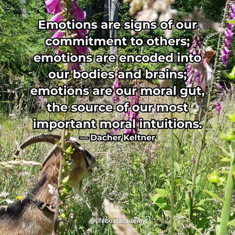 A social post from @lifeboatacademy which says: "Emotions are signs of our commitment to others; emotions are encoded into our bodies and brains; emotions are our moral gut, the source of our most important moral intuitions." — Dacher Keltner
Text superimposed on an image of a horned goat in a meadow with flowering foxgloves in the sunshine.