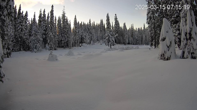 a very snowy meadow before the sun rises