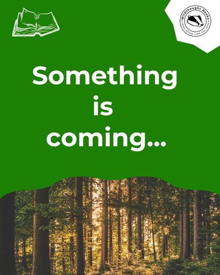 Promotional image for "Wildthought Books" on a green background. White text reads "Something is coming..." Above, a white book outline and the "Wildthought Books" logo with an animal. Below, a photo of a sunlit forest creates anticipation and links to nature and stories.