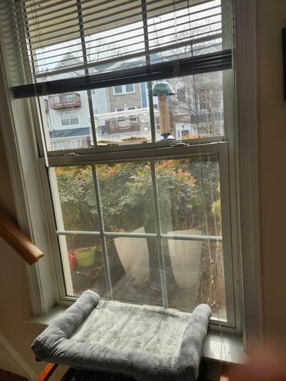 Picture through a window of 2 bird feeders. There is a cat window bed in front of the window