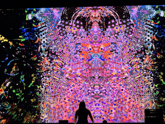 multicolork shapes twisting on a screen, musician in front performing