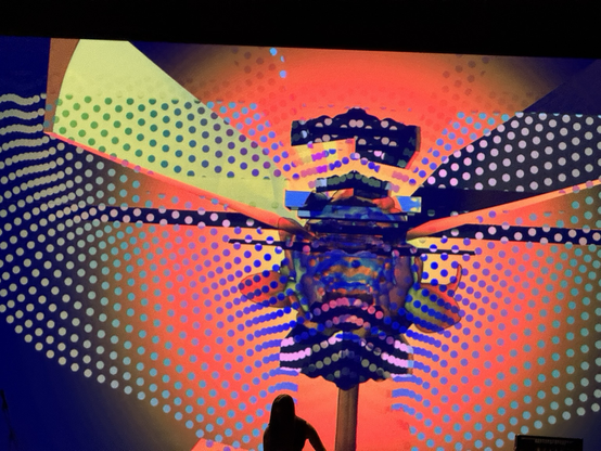 multicolor shapes twisting on a screen, musician in front performing