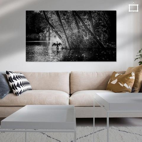 Een aalscholver die zijn vleugels heeft uitgespreid om die te laten drogen. Hij staat op een stuk hout in een vijver, met rechts van hem een eiland met bomen, waarvan een paar naar links  hellen. De zon schijnt en schittert in de golfjes van het water. 