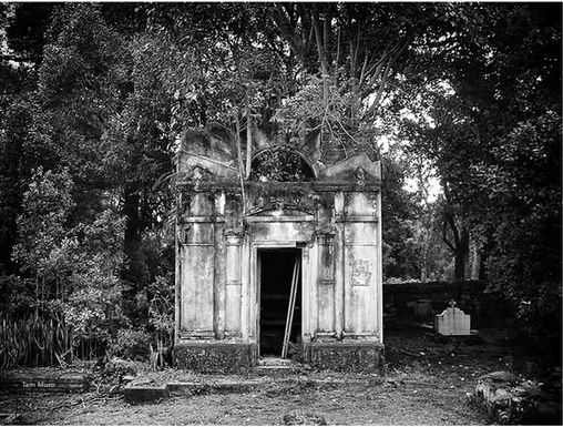 Cementerio de las ruinas de Loreto, la estancia jesuítica fundada por Montoya en 1686 en Misiones.