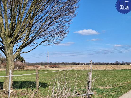 Blauer Himmel, wenig kleine Wolken. Ein Baum im Vordergrund noch ohne Blätter. Grüne und graue Felder. Strommasten ist zu erkennen. Braune Büsche.