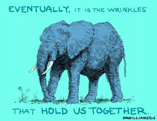 Blue elephant. Eventually, it is the wrinkles that hold us together. 