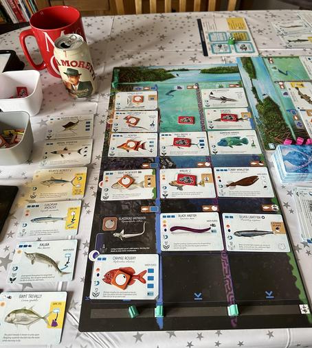My ocean board from near the end of a game of Finspan. 