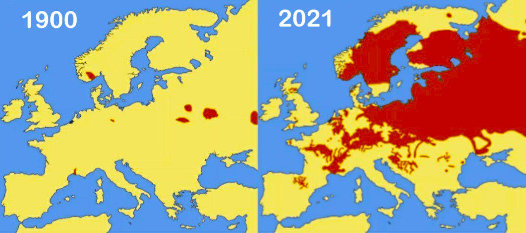 Beaver Populations in Europe: 1900 vs. 2021 