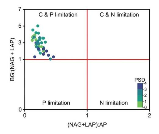 Scatter plot of (LAP + NAG):AP versus BG:(LAP + NAG). Different colored dots indicate gradient of PSD across the 45 plots.