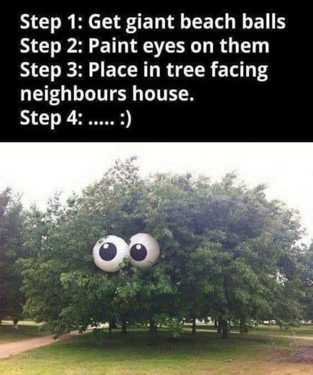 Step 1: Get giant beach balls
Step 2: Paint eyes on them
Step 3: Place in tree facing neighbours house.
Step 4: ..... :)

*Large sycamore tree with goggly eyes*
