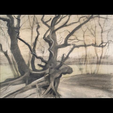 The artwork depicts a group of bare trees and shrubs against an overcast sky. The color palette is dominated by earth tones, with subtle blues and greens adding depth to the scene. The brushstrokes are visible and energetic, characteristic of Van Gogh’s style. This impressionistic painting focuses on texture and the interplay between light and shadow, creating a sense of atmosphere and mood.