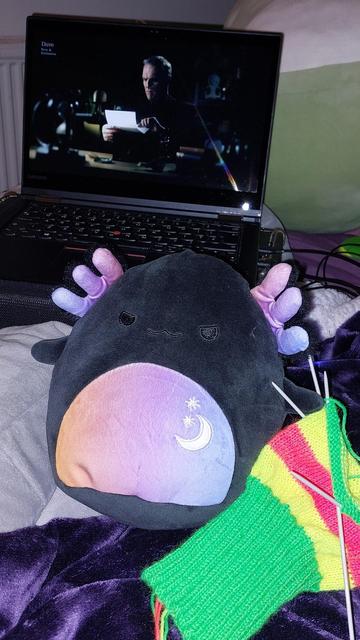 In the foreground on a shiny purple fleece blanket is some green, yellow, and orange striped knitting on fine metal double pointed needles. Next to that is a black soft toy with a purple and pink belly with a crescent moon and two stars. Behind that is a laptop showing the opening credits of the TV show Taskmaster.